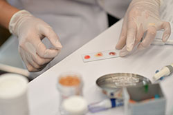 lab_250